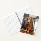 最も可愛い赤ん坊の動物 | Mini Dachshund Puppy ノートブック (内部)