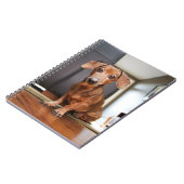 最も可愛い赤ん坊の動物 | Mini Dachshund Puppy ノートブック (左側)