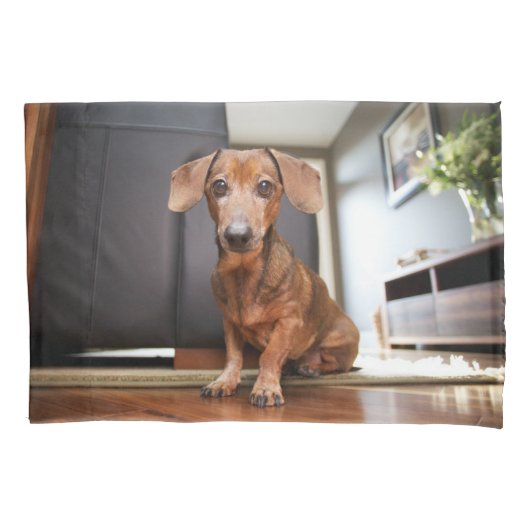 最も可愛い赤ん坊の動物 | Mini Dachshund Puppy 枕カバー (正面)