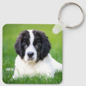 最も可愛い赤ん坊の動物 | Newfoundland Puppy キーホルダー (裏面)
