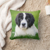 最も可愛い赤ん坊の動物 | Newfoundland Puppy クッション (ブランケット)