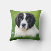 最も可愛い赤ん坊の動物 | Newfoundland Puppy クッション (裏面)