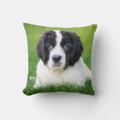 最も可愛い赤ん坊の動物 | Newfoundland Puppy クッション (正面)