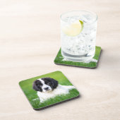 最も可愛い赤ん坊の動物 | Newfoundland Puppy コースター (右側)