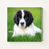 最も可愛い赤ん坊の動物 | Newfoundland Puppy ノートブック (裏面)