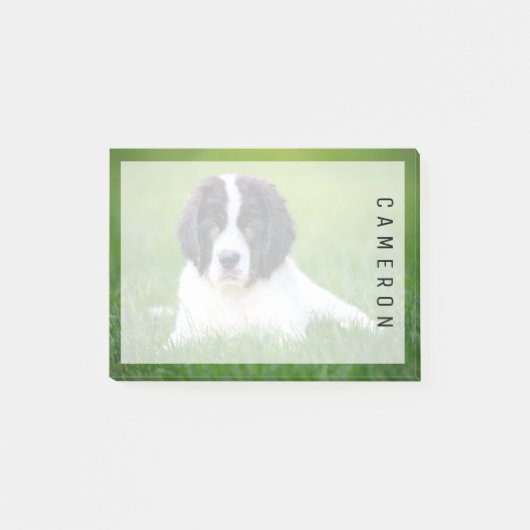 最も可愛い赤ん坊の動物 | Newfoundland Puppy ポストイット (正面)