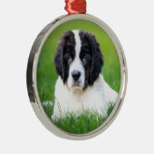 最も可愛い赤ん坊の動物 | Newfoundland Puppy メタルオーナメント (右)