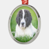 最も可愛い赤ん坊の動物 | Newfoundland Puppy メタルオーナメント (左)