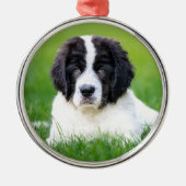 最も可愛い赤ん坊の動物 | Newfoundland Puppy メタルオーナメント (正面)