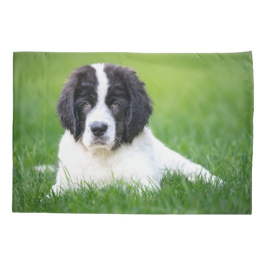 最も可愛い赤ん坊の動物 | Newfoundland Puppy 枕カバー (裏面)
