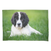 最も可愛い赤ん坊の動物 | Newfoundland Puppy 枕カバー (正面)