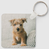 最も可愛い赤ん坊の動物 | Norfolk Terrier Puppy キーホルダー (裏面)