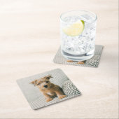 最も可愛い赤ん坊の動物 | Norfolk Terrier Puppy スクエアペーパーコースター (インサイチュ)