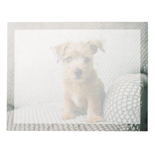 最も可愛い赤ん坊の動物 | Norfolk Terrier Puppy ノートパッド (正面)