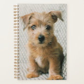 最も可愛い赤ん坊の動物 | Norfolk Terrier Puppy プランナー手帳 (正面)