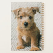 最も可愛い赤ん坊の動物 | Norfolk Terrier Puppy プランナー手帳 (裏面)