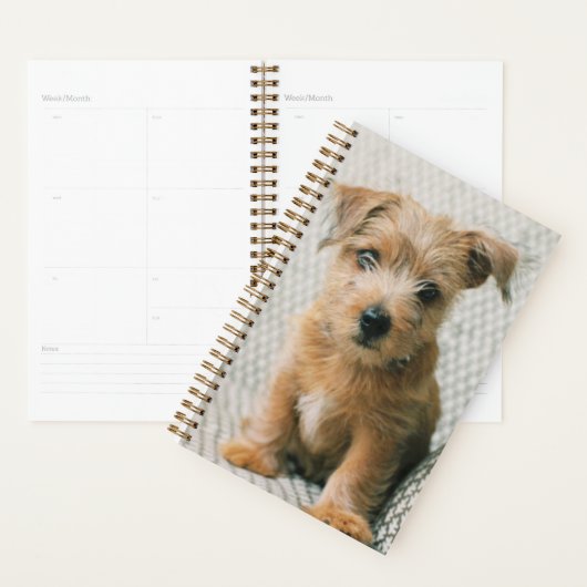 最も可愛い赤ん坊の動物 | Norfolk Terrier Puppy プランナー手帳 (ディスプレー)
