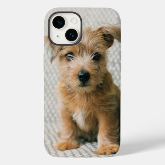 最も可愛い赤ん坊の動物 | Norfolk Terrier Puppy Case-Mate iPhoneケース (裏面)
