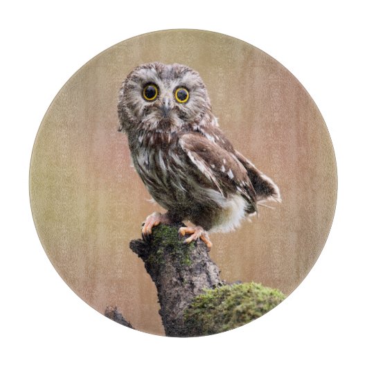 最も可愛い赤ん坊の動物 | Northern Saw Whet Owl カッティングボード (正面)