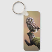 最も可愛い赤ん坊の動物 | Northern Saw Whet Owl キーホルダー (正面)