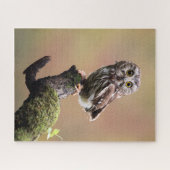 最も可愛い赤ん坊の動物 | Northern Saw Whet Owl ジグソーパズル (横)