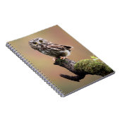 最も可愛い赤ん坊の動物 | Northern Saw Whet Owl ノートブック (右側)