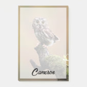 最も可愛い赤ん坊の動物 | Northern Saw Whet Owl ポストイット (正面)