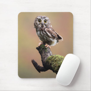 最も可愛い赤ん坊の動物 Northern Saw Whet Owl マウスパッド