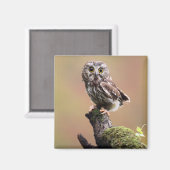 最も可愛い赤ん坊の動物 | Northern Saw Whet Owl マグネット (正面/裏面)