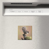 最も可愛い赤ん坊の動物 | Northern Saw Whet Owl マグネット (インサイチュ (食洗機))