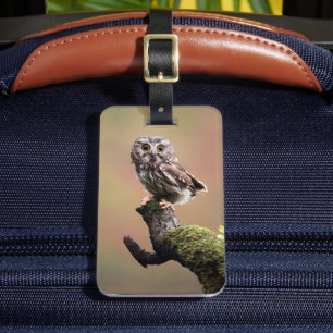 最も可愛い赤ん坊の動物 Northern Saw Whet Owl ラゲッジタグ