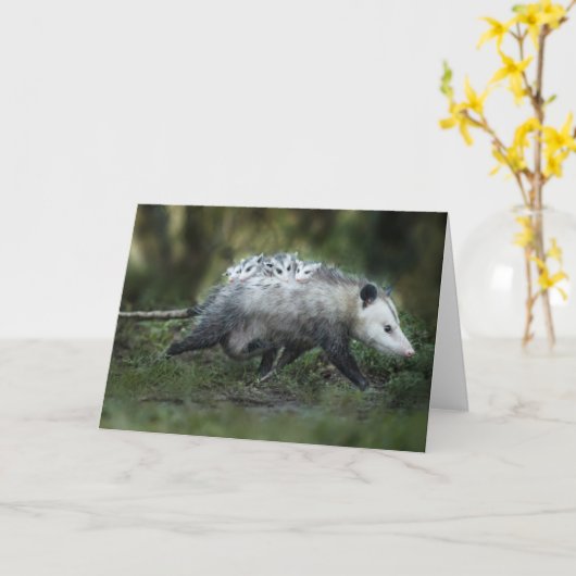 最も可愛い赤ん坊の動物 | Opossum Mom & Kids カード (黄色い花)