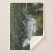 最も可愛い赤ん坊の動物 | Opossum Mom & Kids シェルパブランケット (正面)