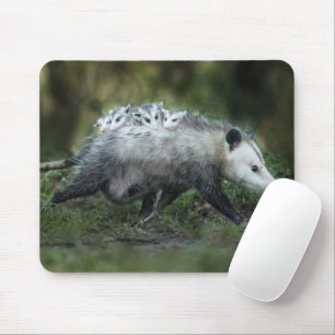 最も可愛い赤ん坊の動物   Opossum Mom & Kids マウスパッド