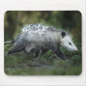 最も可愛い赤ん坊の動物 | Opossum Mom & Kids マウスパッド (正面)
