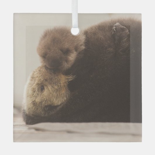 最も可愛い赤ん坊の動物 | Otter 生まれたばかりの Pup ガラスオーナメント (正面)