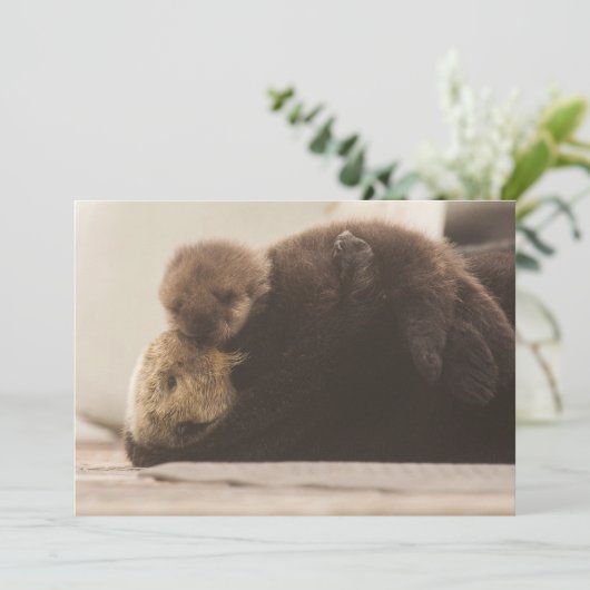 最も可愛い赤ん坊の動物 | Otter 生まれたばかりの Pup サンキューカード (スタンド正面)