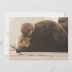 最も可愛い赤ん坊の動物 Otter 生まれたばかりの Pup サンキューカード
