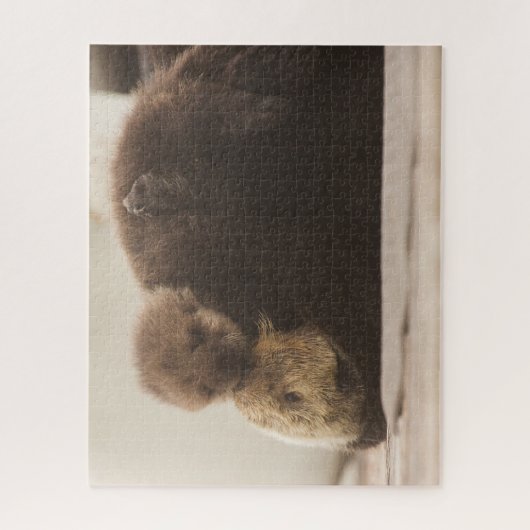 最も可愛い赤ん坊の動物 | Otter 生まれたばかりの Pup ジグソーパズル (縦)