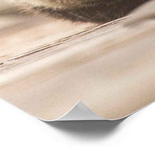 最も可愛い赤ん坊の動物 | Otter 生まれたばかりの Pup ポスター (角)