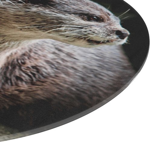 最も可愛い赤ん坊の動物 | Ottersが手を握る カッティングボード (角)