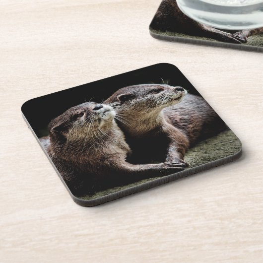最も可愛い赤ん坊の動物 | Ottersが手を握る コースター (左側)