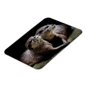 最も可愛い赤ん坊の動物 | Ottersが手を握る マグネット (左側)