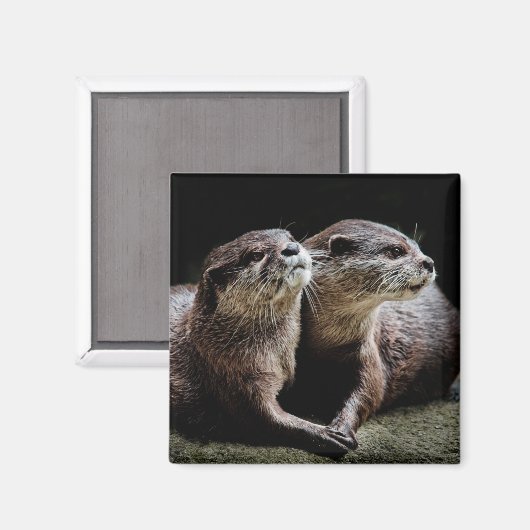 最も可愛い赤ん坊の動物 | Ottersが手を握る マグネット (正面/裏面)