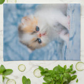 最も可愛い赤ん坊の動物 | Persian Calico Kitten キッチンタオル (折り畳み)