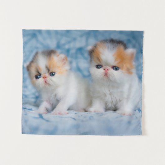 最も可愛い赤ん坊の動物 | Persian Calico Kitten タペストリー (正面(横))