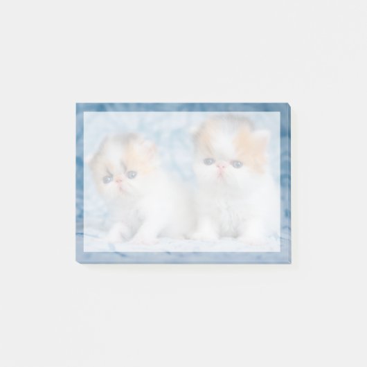 最も可愛い赤ん坊の動物 | Persian Calico Kitten ポストイット (正面)