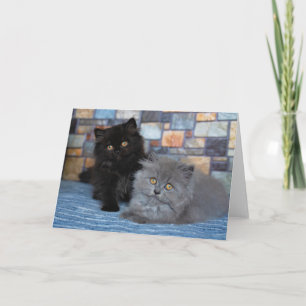 最も可愛い赤ん坊の動物   Persian Kittens on Blanケット カード