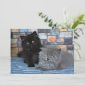 最も可愛い赤ん坊の動物 | Persian Kittens on Blanケット サンキューカード (スタンド正面)