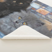 最も可愛い赤ん坊の動物 | Persian Kittens on Blanケット シェルパブランケット (3/4)